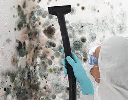 Mold Remediation for Rental Properties in Ravena, NY